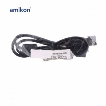 IC200CBL600C