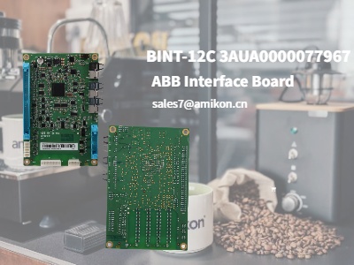 BINT-12C 3AUA0000077967 | ABB-Schnittstellenkarte