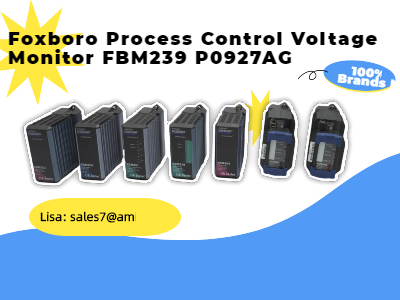 FBM239 P0927AG FOXBORO Prozesssteuerungsspannungsmonitor 16 Ein-/Ausgänge